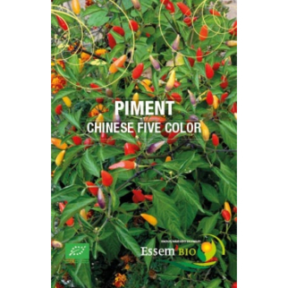 Piment Chinese Five Color Bio