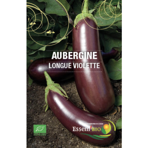 Aubergine Longue Violette Bio