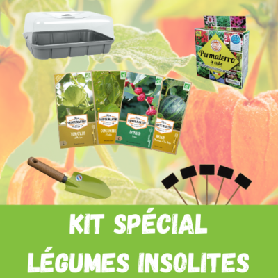 Kit spécial légumes insolites