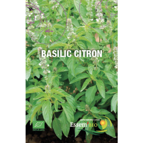 Basilic Citron Bio