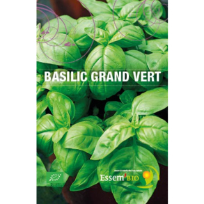 Basilic Grand vert Bio