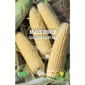 Maïs Doux Golden Bantam bio