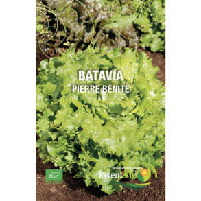 Batavia Pierre Bénite Bio