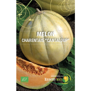 Melon Charentais bio