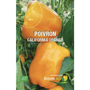 Poivron California Orange Bio