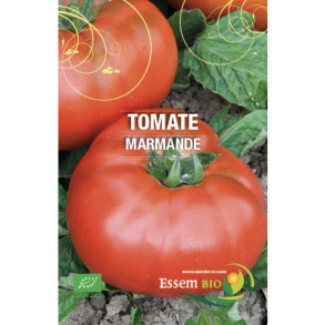 Tomate Marmande bio