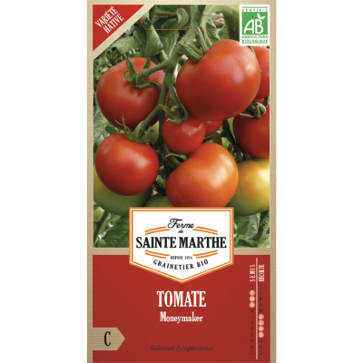 Tomate Moneymaker bio