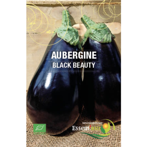 Aubergine Black Beauty Bio