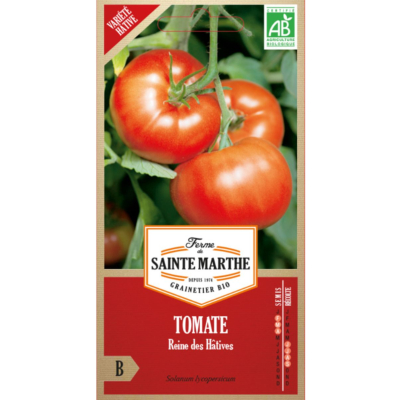 Tomate Reine des Hâtives bio