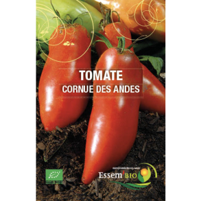 Tomate Cornue des Andes bio 