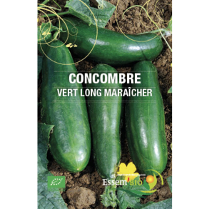Concombre Vert Long Maraicher Bio