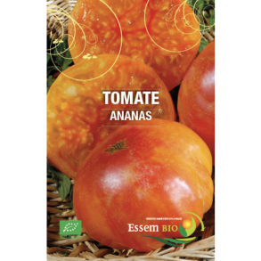 Tomate Ananas (Pineapple) bio